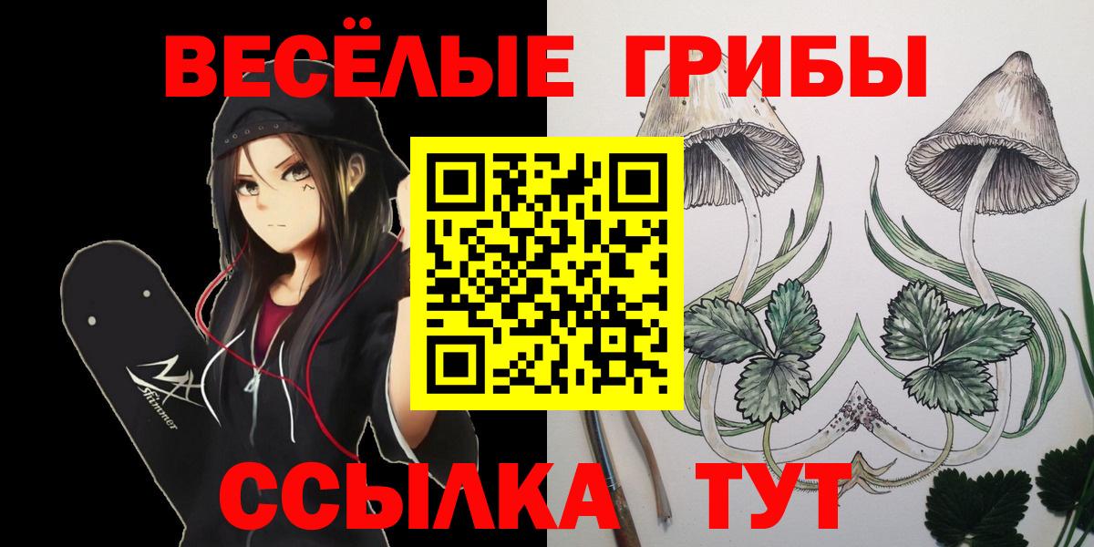 Галлюциногенные грибы Psilocybine cubensis  Галлюциногенные грибы Cubensis  Вход с VPN  Ижевск 